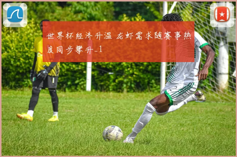 世界杯经济升温 龙虾需求随赛事热度同步攀升_1