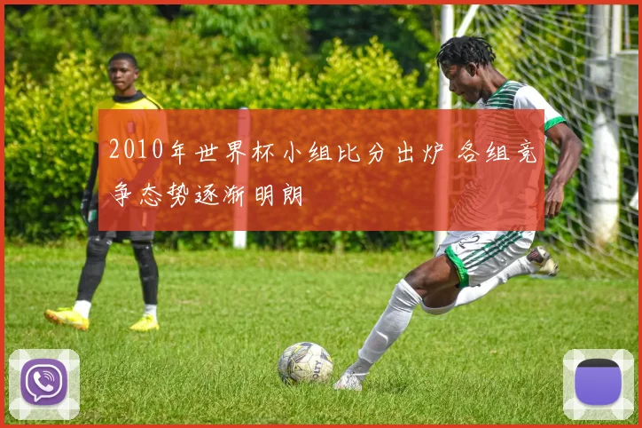 2010年世界杯小组比分出炉 各组竞争态势逐渐明朗