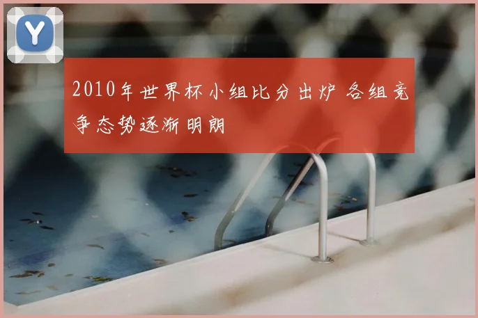 2010年世界杯小组比分出炉 各组竞争态势逐渐明朗