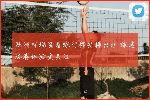 欧洲杯现场看球行程安排出炉 球迷观赛体验受关注