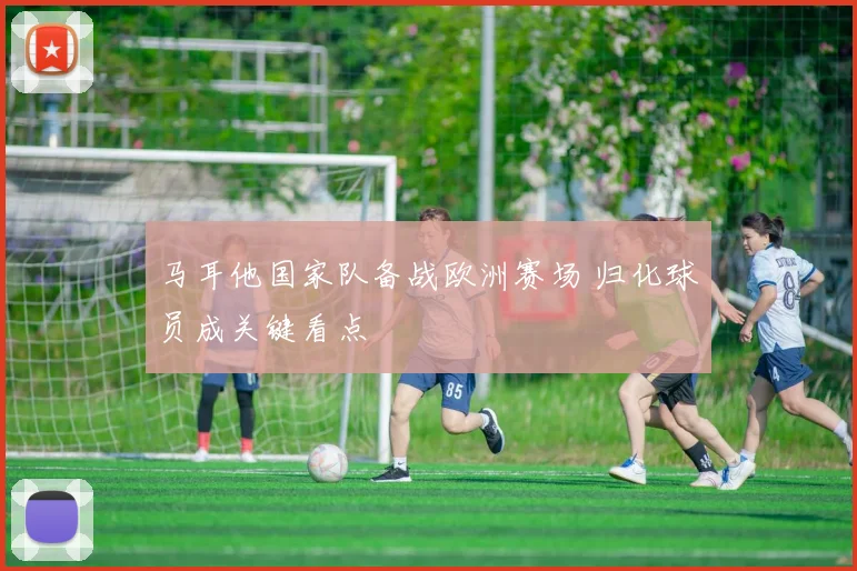 马耳他国家队备战欧洲赛场 归化球员成关键看点